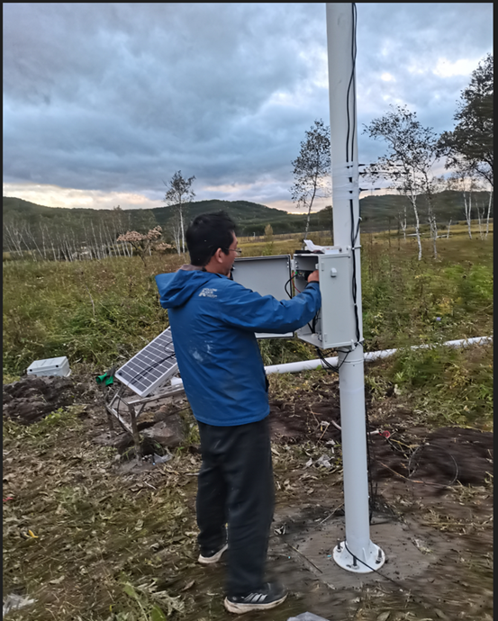 植物物候監測 植物物候監測