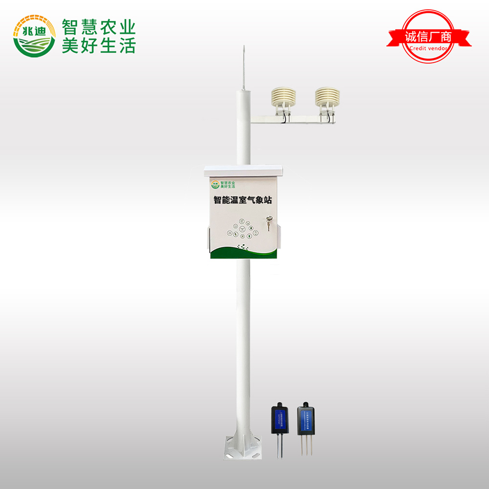 智能溫室氣象站助力大棚環(huán)境監(jiān)測，賦能高效種植管理