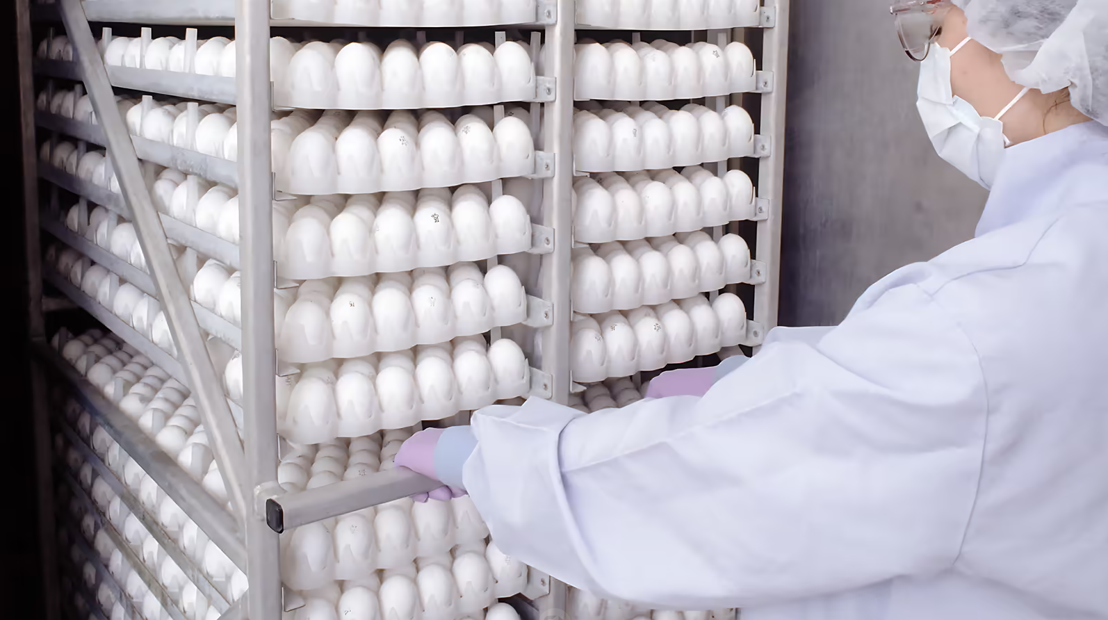 avsbio代理商 2026授权代理-AMJS澳金沙门