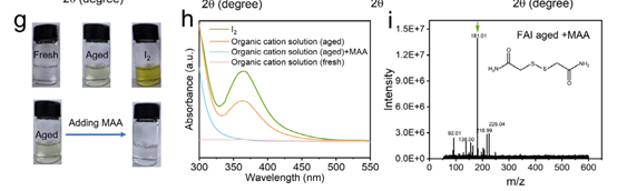 華中科大陳煒： MAA創(chuàng)新策略突破大面積鈣鈦礦25.52%
