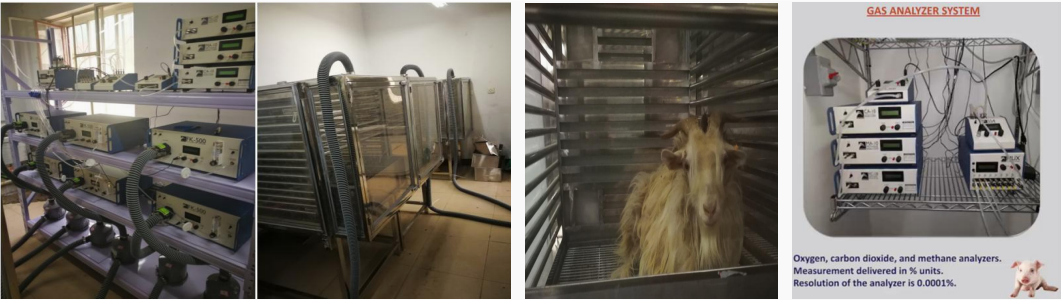 北京易科泰祝賀家畜環(huán)境衛(wèi)生學(xué)分會(huì)2025學(xué)術(shù)研討會(huì)圓滿收官