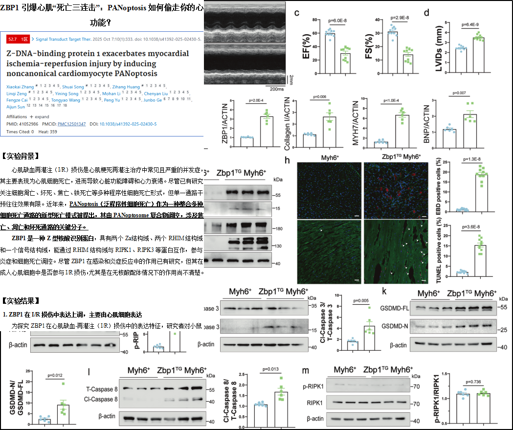 6389802464005014235421236