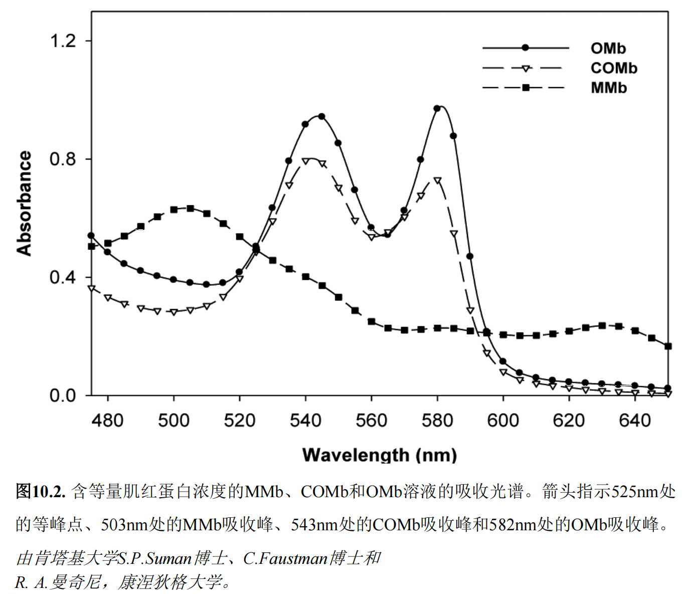 9肉類顏色測量指南-肌紅蛋白肉色研究2.png