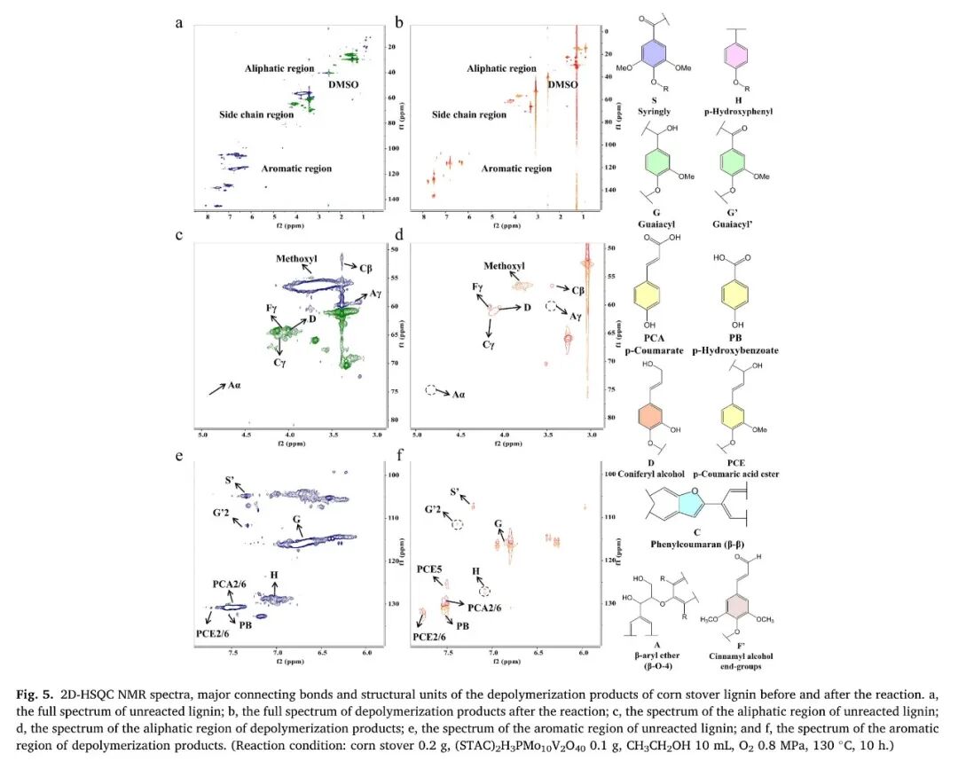 东北师大王宪泽携岩征反应釜，在IJBM期刊发表废弃生物质资源化方向论文