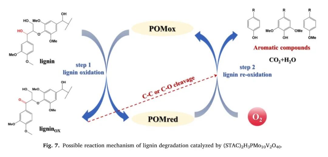 东北师大王宪泽携岩征反应釜，在IJBM期刊发表废弃生物质资源化方向论文