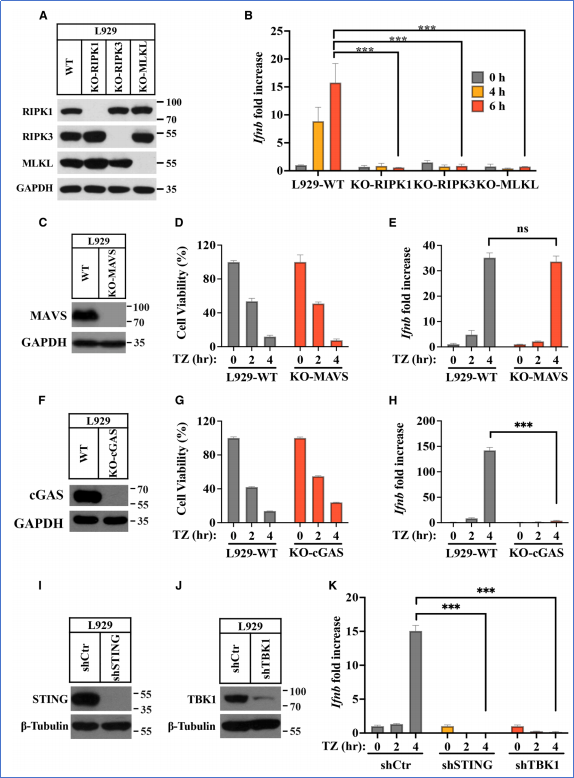6390052924094403865885240