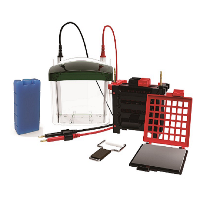 HT-ZY04 四块胶转印电泳槽.png