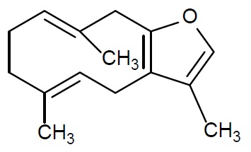结构式.jpg 结构式.jpg