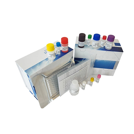 上海研域生物人ELISA检测试剂盒年末感恩特惠，助力科研冲刺