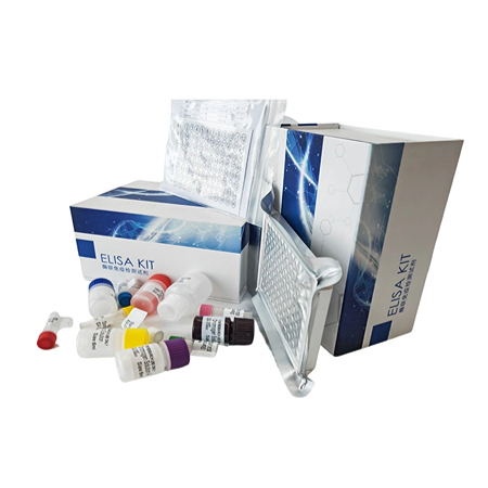 ELISA實驗中檢測抗體的方法