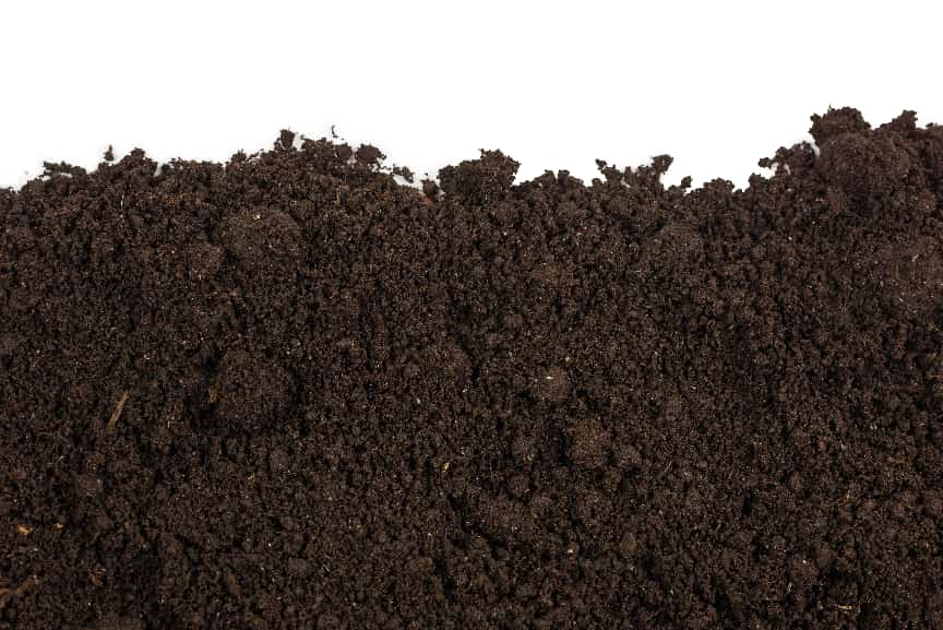 1671239456115104860_363498908-xl