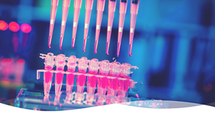 美国Lucerna Technologies代理商 2026授权代理-优米体育网站下载