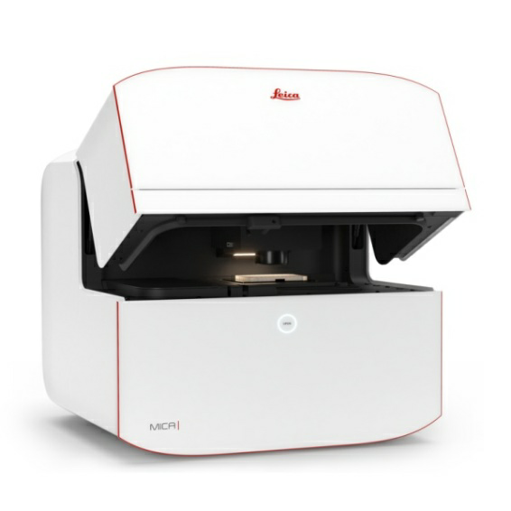 显微课堂 | 神经科学研究指南