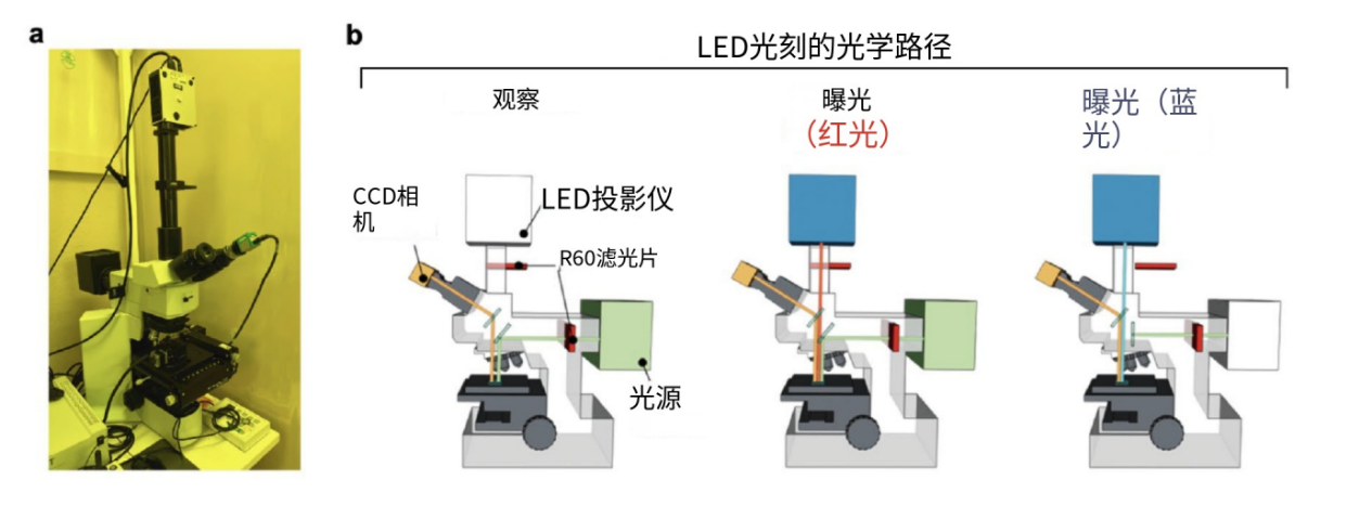 揭秘低成本无掩模光刻机如何实现微米级快速曝光