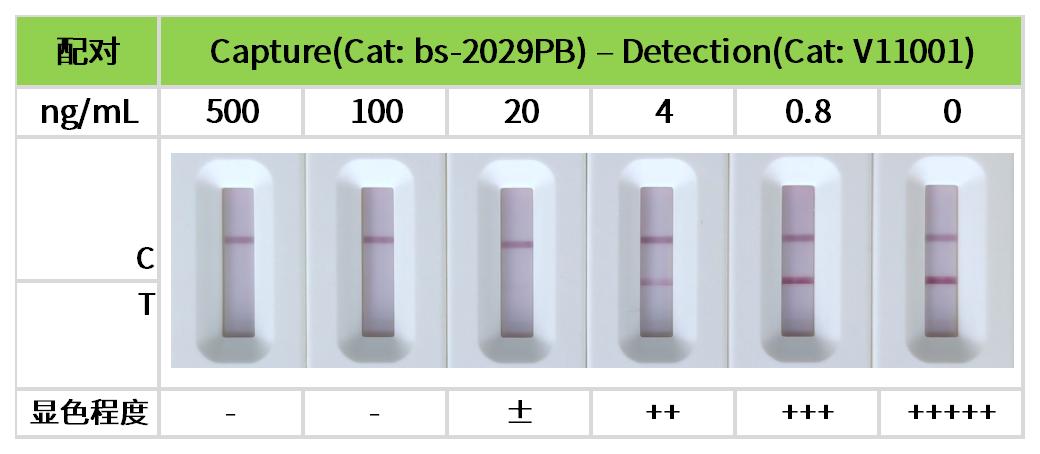 工作簿1.jpg 重點推薦 | 藥物小分子檢測相關配對抗體!