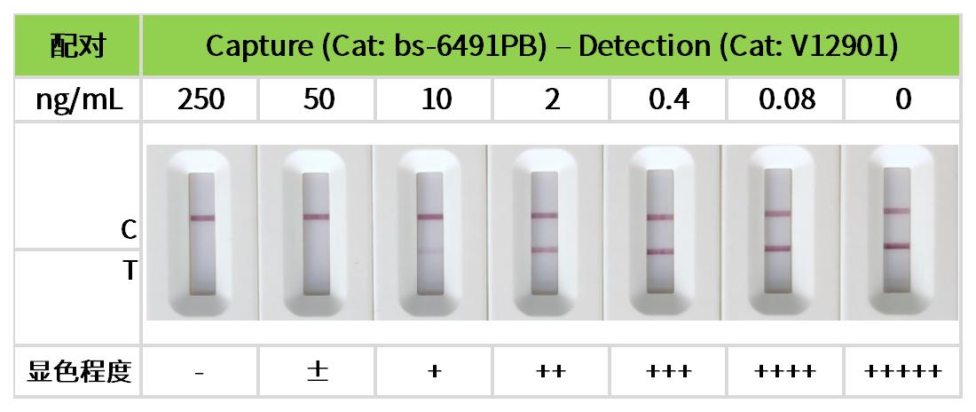 工作簿1_13.jpg 重點推薦 | 藥物小分子檢測相關配對抗體!