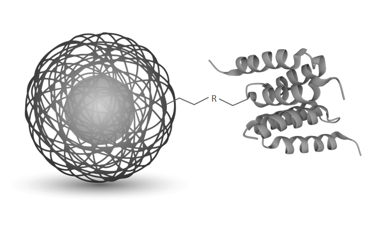 ProteinA_Magbead.png 南非Resynbio代理商 2026授權(quán)代理-上海起發(fā)