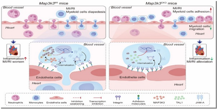 6390504245773456064704092