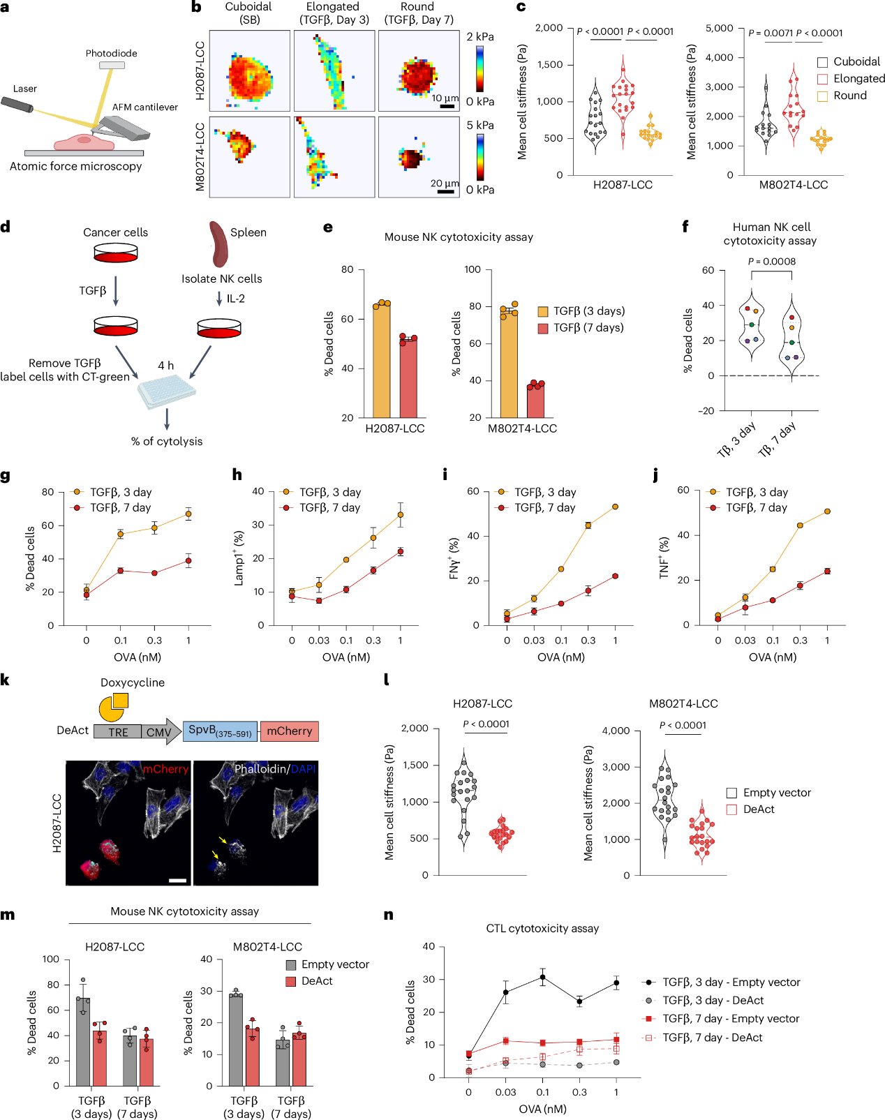 6390475866458502494050576