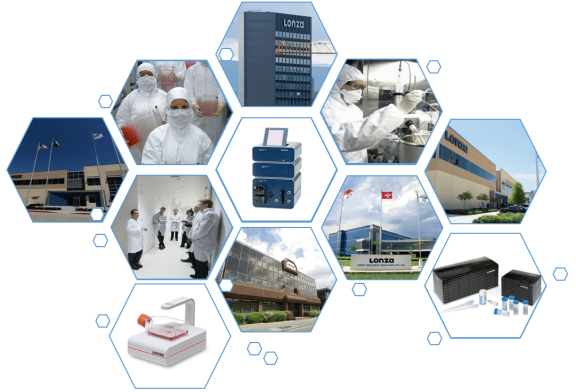 image.png LONZA原代人主動脈平滑肌細胞HAoSMC/HASMC產(chǎn)品介紹