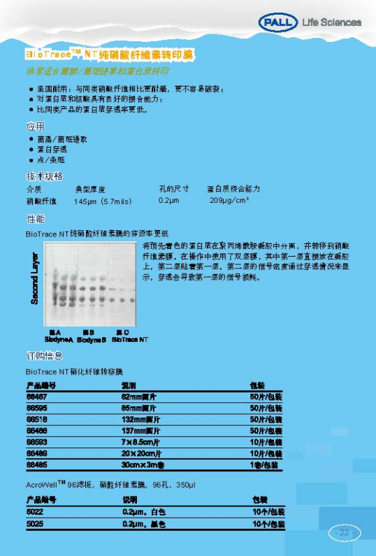 PALL PVDF转印膜 NC转印膜