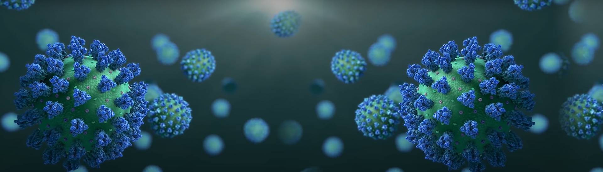 法國AntibodySystem代理商 2026授權(quán)代理-上海起發(fā)