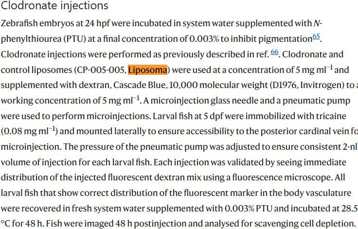 《Nature》：脑边界相关巨噬细胞（BAMs）和斑马鱼壁淋巴管内皮细胞（muLECs）发育的趋同进化
