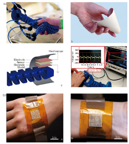 材料+医学:驼人医疗采购ZJ-3型精密D33测试仪(极化+阻抗+D31+D15)