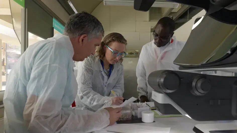 640 (6).jpg 无目镜光学技术助力种子研究