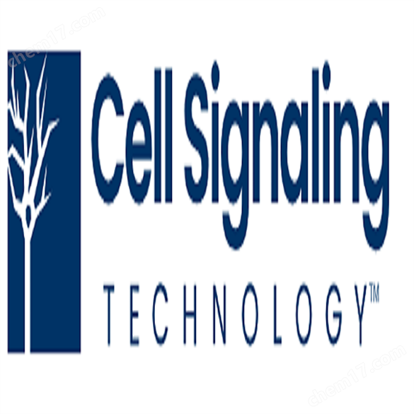 Cell Signaling ϸ