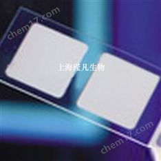 10484182Whatman 沃特曼 FAST Slides 蛋白芯片片基