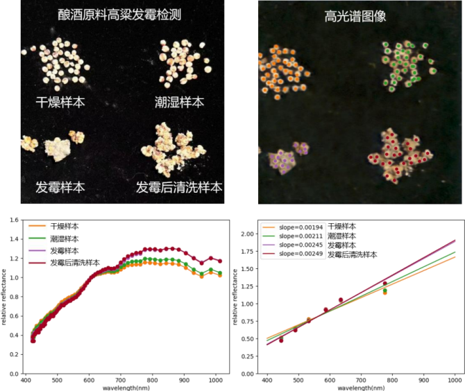快照式、视频级、高频地面高光谱相机