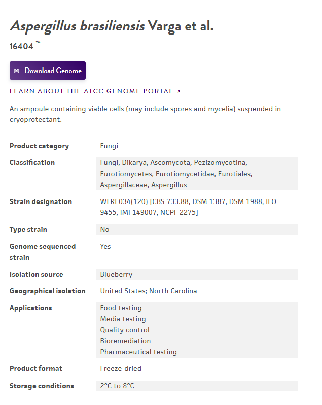 image.png 黑曲霉 ATCC 16404 巴西曲霉 冻干粉
